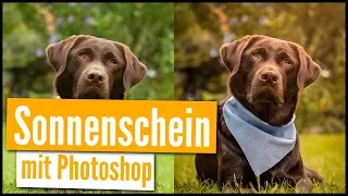 SONNENSCHEIN IN PHOTOSHOP ERSTELLEN | sommerlicher Look für deine Fotos | QUICKTIP