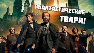 Фантастические твари: Тайны Дамблдора РАСКРЫТЫ! | Обзор фильма