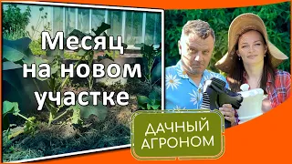 МЫ В ШОКЕ от нового участка! СМОТРИТЕ какая красота Идеи для сада и огорода