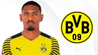 Sébastien Haller 2022 - Welcome to Borussia Dortmund - Insane Skills and Goals
