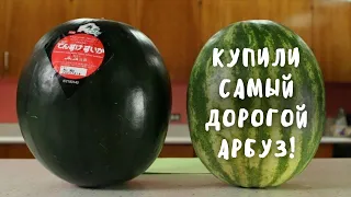 Купили самый дорогой японский черный арбуз Денсукэ (Densuke) / Покупка в магазине