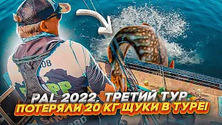 ПОТЕРЯЛИ 20 КГ ЩУКИ В ТУРЕ! Подсечка 360 по-Юргановски. PAL 2022