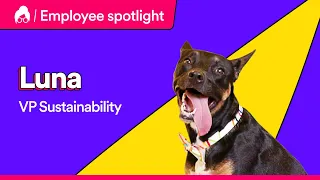 Employee Spotlight - VP Sustainability, Luna