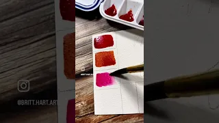 Setting Up a Custom Watercolor Palette