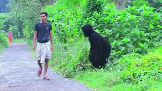 Gorilla Attack Prank || Scary Gorilla Prank on Public - Part 22 || 4 Minute Fun