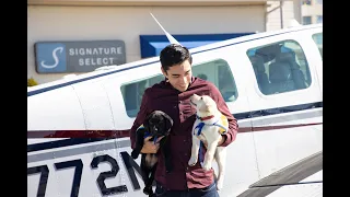 21-year-old pilot Owen Leipelt flies Canine Companions puppies to their raisers