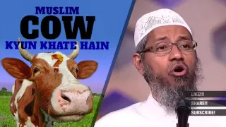 Muslim Cow kyun khate hain... ┇ Zakir Naik best answer ┇ IslamSearch