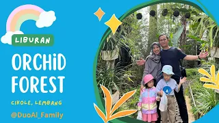 Main ke orchid forest Cikole lembang | wisata keluarga