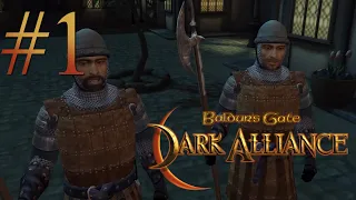 Let's Play Baldur's Gate: Dark Alliance #1 - Baldur With Each Passing Day!