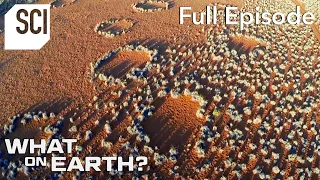 Mysterious Rings in the Namib Desert | What On Earth? (Full Episode)