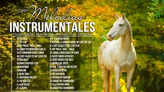 The 20 Most Romantic Instrumental Melodies - Golden Instrumental Music Of Remembrance