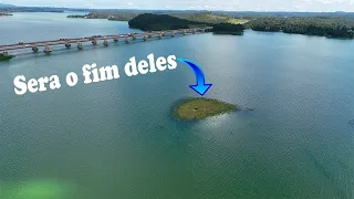 Só com DRONE pra FLAGRAR isso, inacreditavel