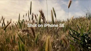 iPhone SE (2020) Cinematic 4k - SANDMARC Anamorphic