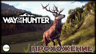 WAY OF THE HUNTER - ПРОХОЖДЕНИЕ КВЕСТОВ. СТРИМ. #6