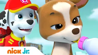 Щенячий патруль | Спасательная операция в горах | Nick Jr. Россия