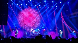 Whitesnake - Ain't No Love In The Heart Of The City (LIVE Munich,June 2022)