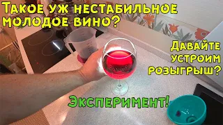 Молодое вино - такое уж нестабильное? Эксперимент💡 + Розыгрыш🎁