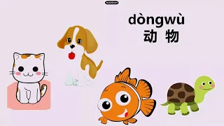 pets 动物汉语儿歌