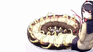 Centipede Anime Girl