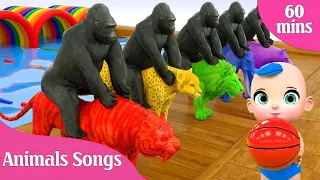 Colorful Cars - Let's Play with Pinkfong, Dance with Colorful Cars 💃 Baby Shark English Songs