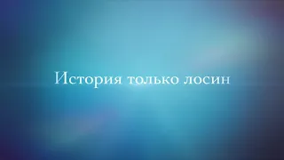 История пошива лосин из эко-кожи