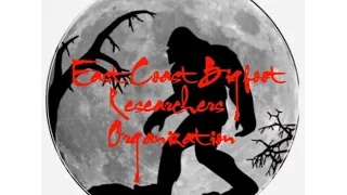 RESEARCHERS OF BIGFOOT (WHAT WE ARE & DO)