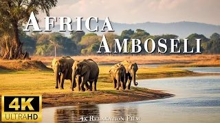 "Amboseli National Park: Africa's Iconic Wildlife Sanctuary"