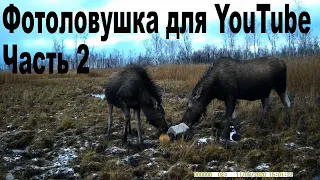 Фотоловушка для YouTube Часть 2