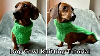 How to knit a dog cowl for beginners: A step-by-step tutorial