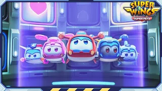 ✈[SUPERWINGS] Superwings5 Super Pets! Full Episodes Live ✈