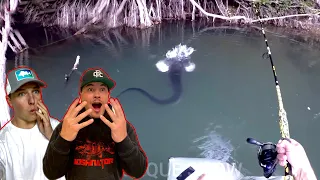 Wir reagieren auf ,,TOP 10 TOPWATER ATTACKEN‘‘