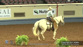 A Judge's Perspective: 2017 AQHYA Ranch Riding World Champion