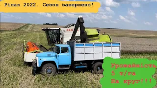 Найурожайніший сезон ріпаку