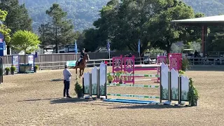 Odarco Van D’Abelendreef- 1st in the $30,000 1.45 Grand Prix