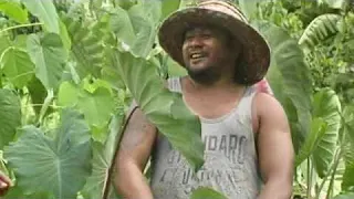 SAMOA ENTERTAINMENT - FO'I LE TAMA FARMER (EPISODE # 1) Invite friends & Family to Subscribe