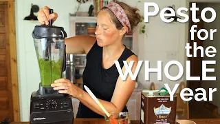 Preserving Enough Pesto for the Whole Year on our Homestead | How to Make Pesto in a Vitamix