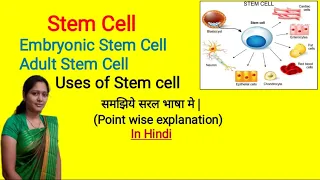 Stem cell | Embryonic Stem Cell | Adult Stem cells | Types and Formation of Stem Cell | in Hindi