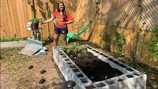 How to build a Concrete Block Garden!