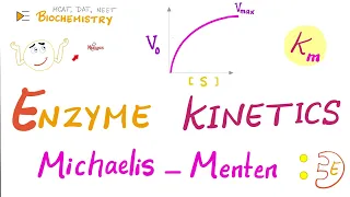 Michaelis-Menten Equation & Enzyme Kinetics - Biochemistry Series