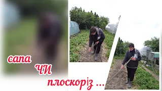 Сапа і плоскоріз ( прополюємо грядки ) // ЯКА РІЗНИЦЯ .??