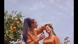 Israeli folk dances, live, 1977 - video of Israel, 1967, Israeli folk music, folklore