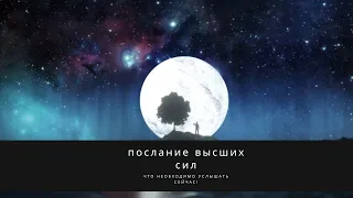 Оналйн расклад - ПОСЛАНИЕ ВЫСШИХ СИЛ✨ЧТО НЕОБХОДИМО УСЛЫШАТЬ СЕЙЧАС⚡️