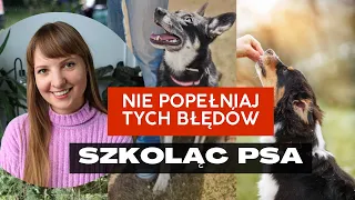 3 NAJWIĘKSZE BŁĘDY jakie popełniają opiekunowie W SZKOLENIU PSA