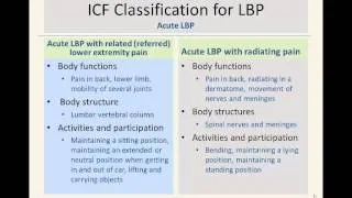 Low Back Pain Clinical Practice Guidelines: Part 1 Overview