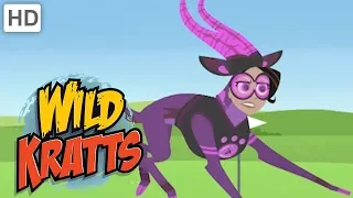 Wild Kratts - Best Season 3 Moments! (Part 3/6) | Kids Videos