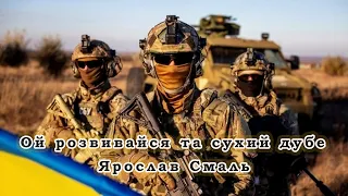 Ярослав Смаль - Ой розвивайся та сухий дубе