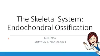 Chapter 6 - Endochondral Ossification