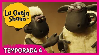 BRICOLAJE - EL CONEJO 🐑 La Oveja Shaun Temporada 4| Dibujos Animados Para Niños