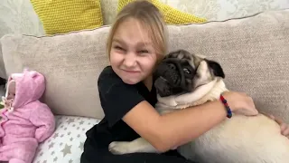 Alice is visiting her grandmother playing with Teddy