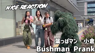 BEST Bushman Prank JAPAN #葉っぱマン【ドッキリ】動画　日本🇯🇵#11